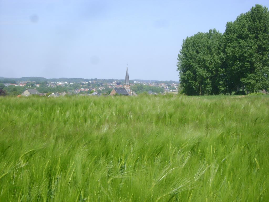 Gite Les Mineurs Zottegem Exterior photo