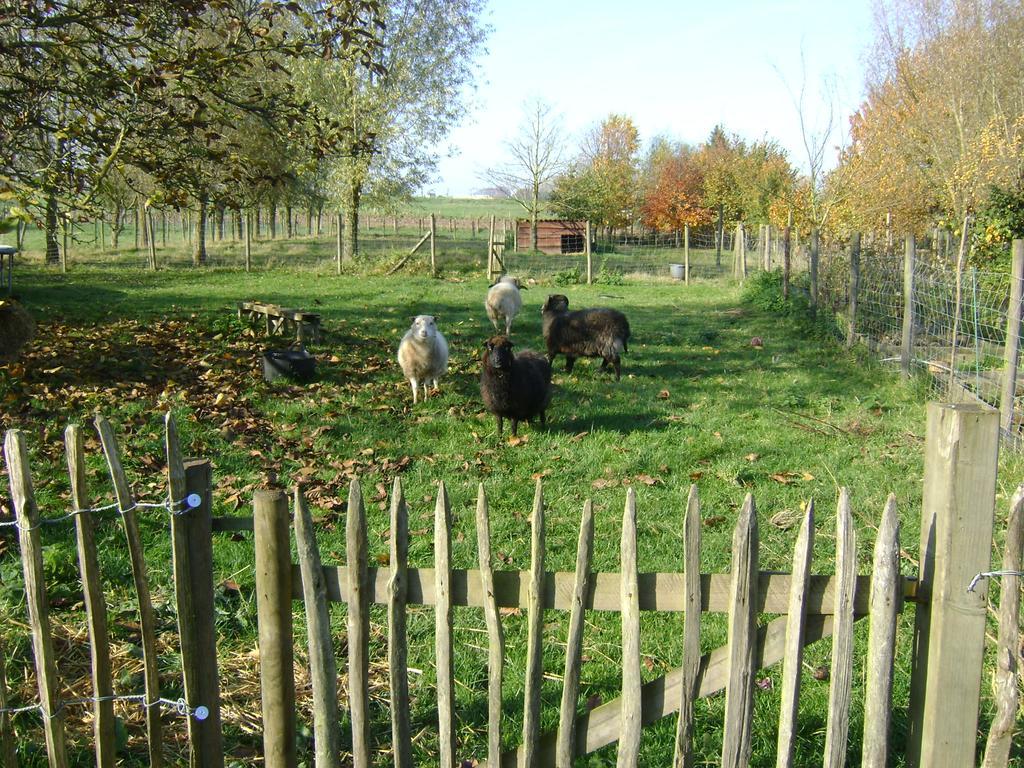 Gite Les Mineurs Zottegem Exterior photo